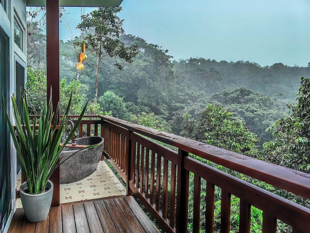 Quetzal Suite