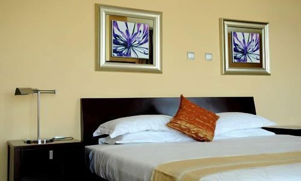 Destiny Addis Hotel Deluxe Room, 1 King Bed 3