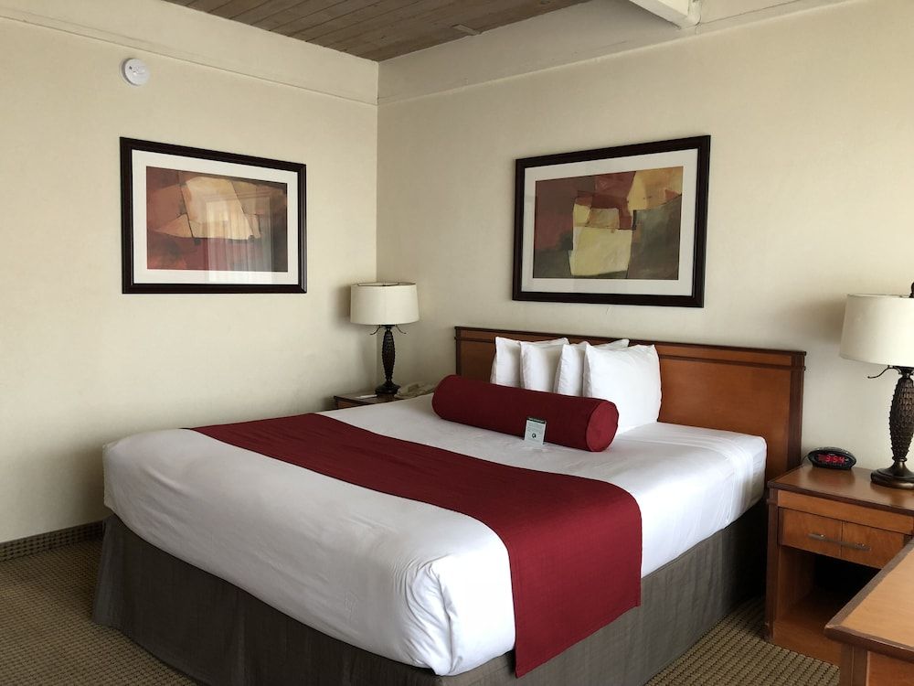 Mikado Hotel Standard Suite, 1 King Bed 2