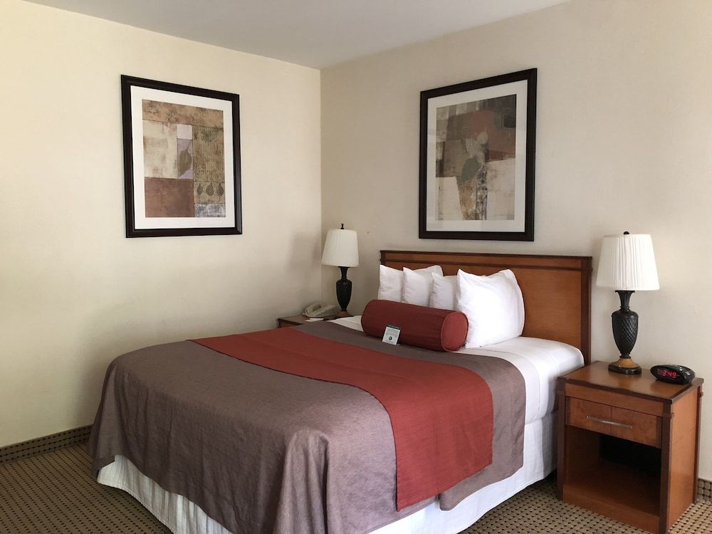 Mikado Hotel Standard Suite, 1 King Bed