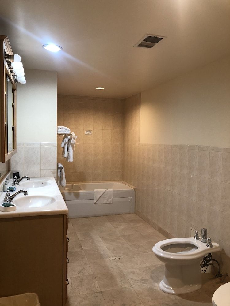 Mikado Hotel Standard Suite, 1 King Bed 6