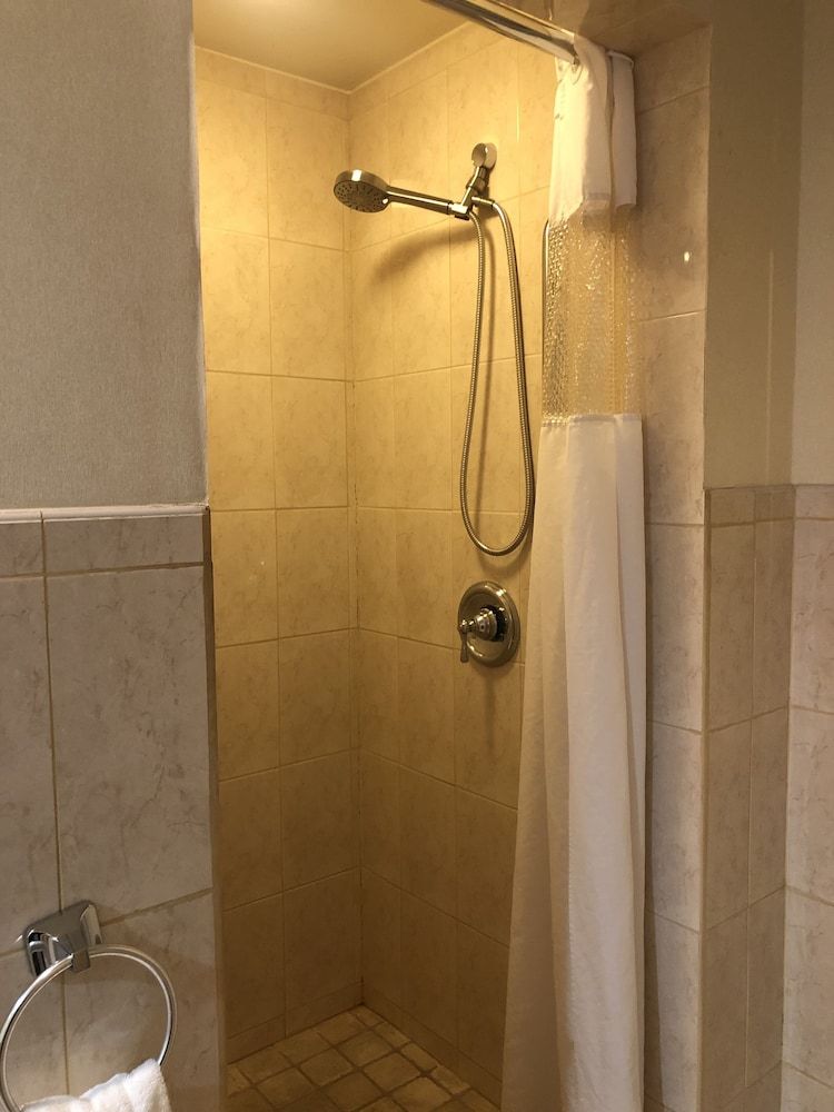 Mikado Hotel Standard Suite, 1 King Bed 7