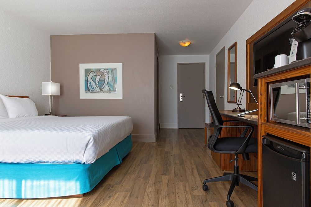 Hotel L'Oiseliere Montmagny Room, 1 King Bed