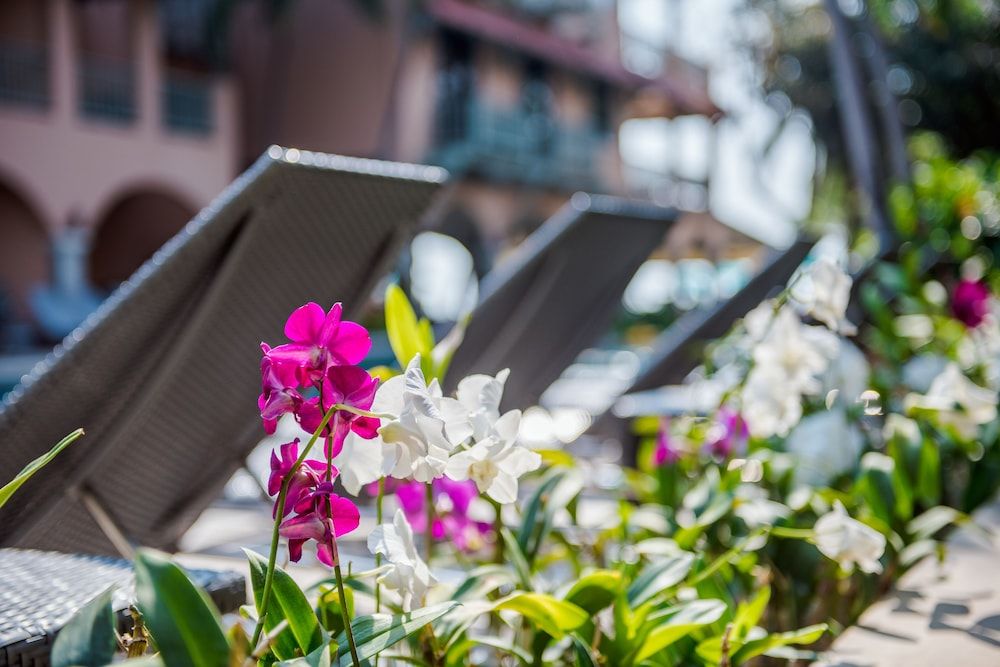 undefined Anantasila Beach Resort Hua Hin 7