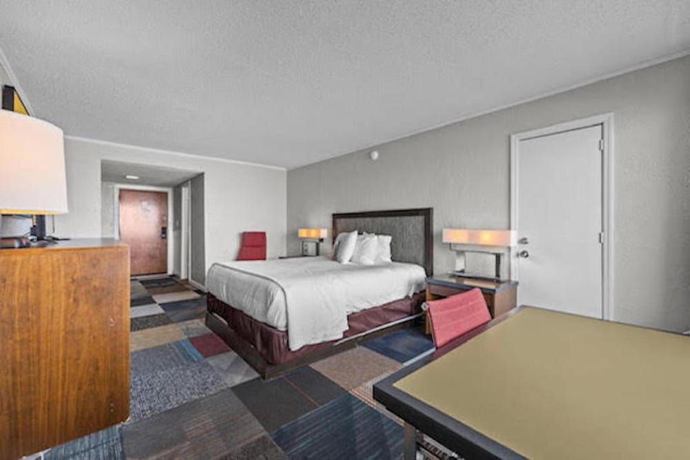 Oasis Hotel Basic Single Room, 1 King Bed