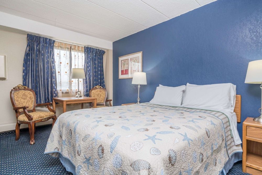 Room, 1 Queen Bed