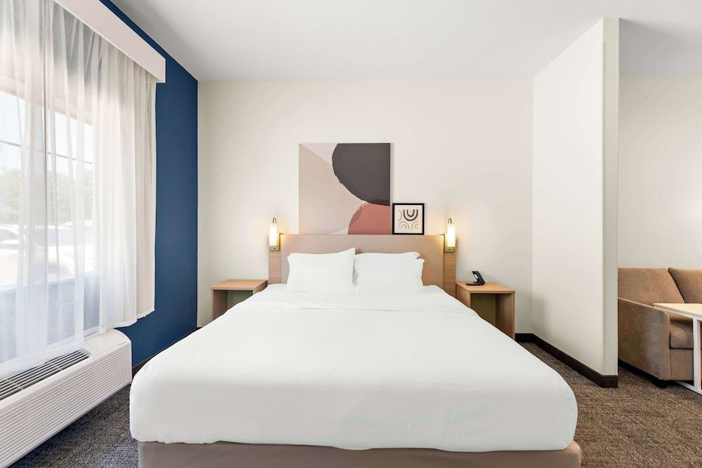 Room, 1 King Bed with Sofa bed