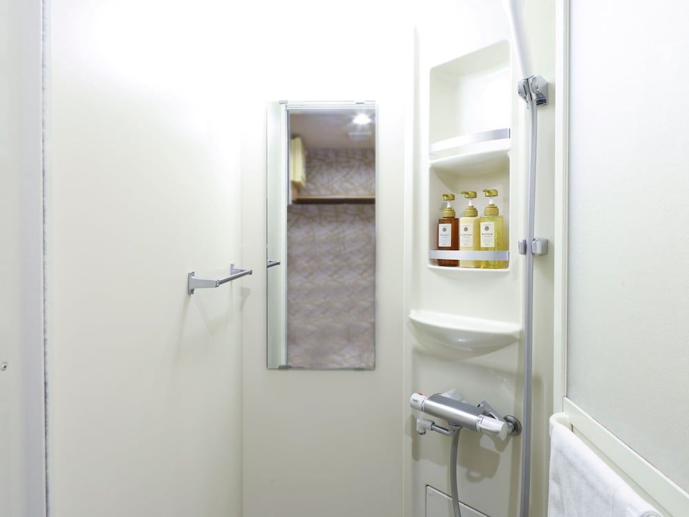 Dormy Inn Hatchobori Tokyo Standard Double Room, 1 Double Bed 4