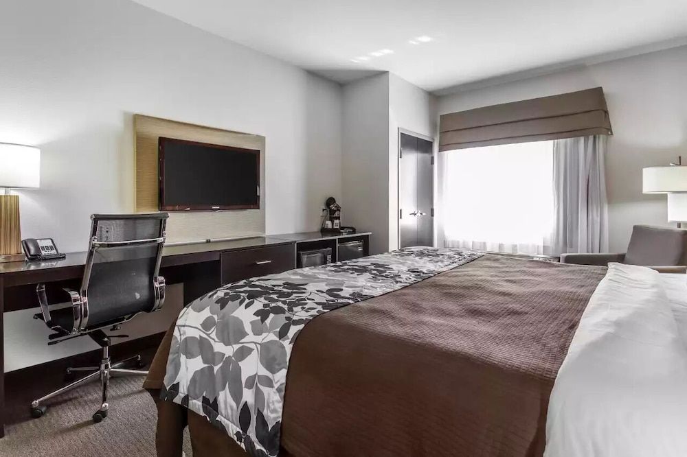 Room, 1 King Bed, Accessible, Non Smoking