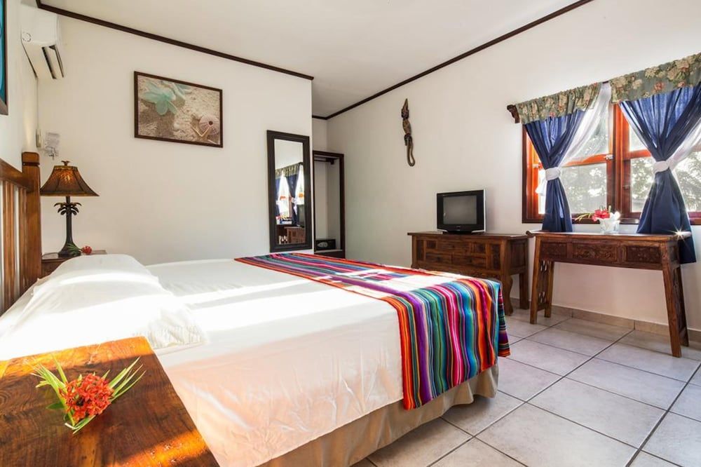 Splash Inn Dive Resort & Villas Standard Room 3