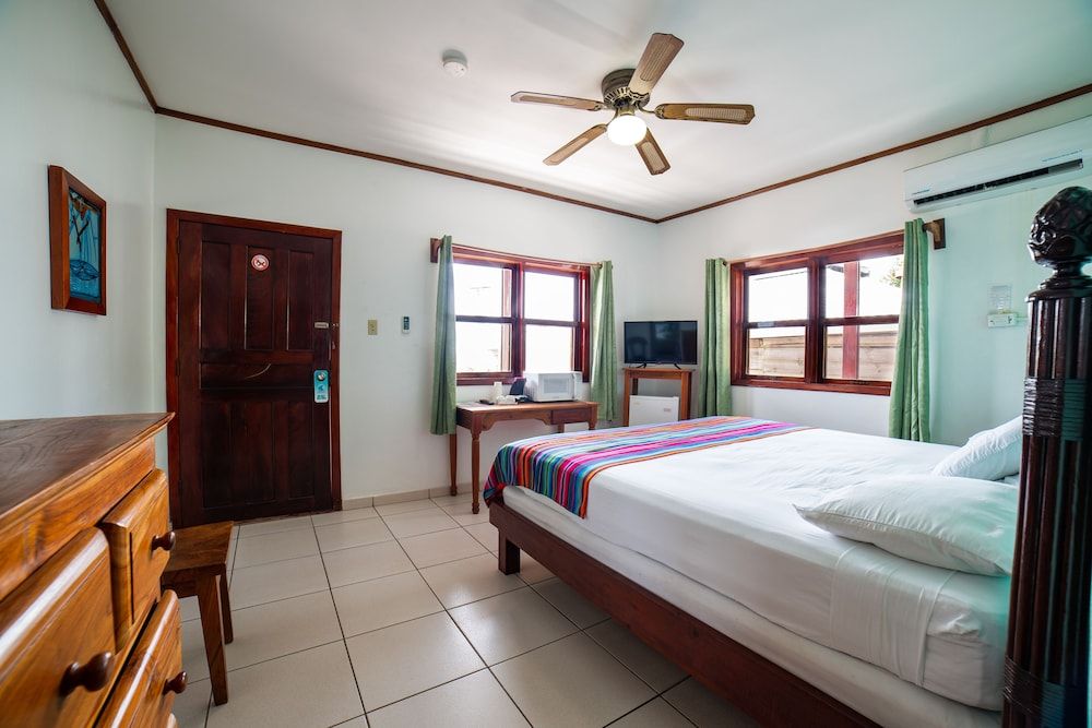 Splash Inn Dive Resort & Villas Ocean View Superior Room, 1 King Bed 2