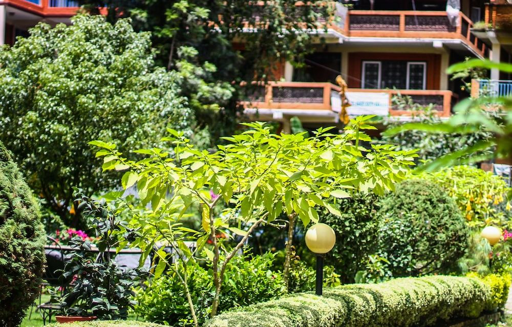 Outdoor Wedding Area