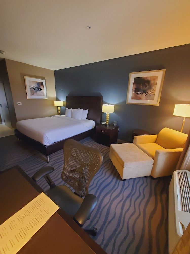 Room, 1 King Bed