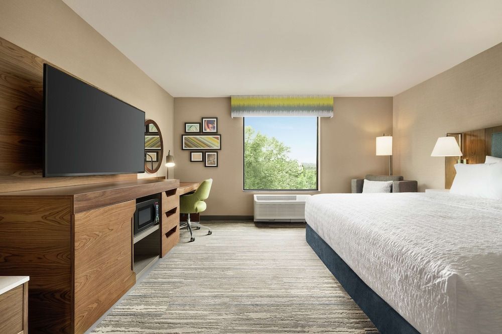 Room, 1 King Bed with Sofa bed