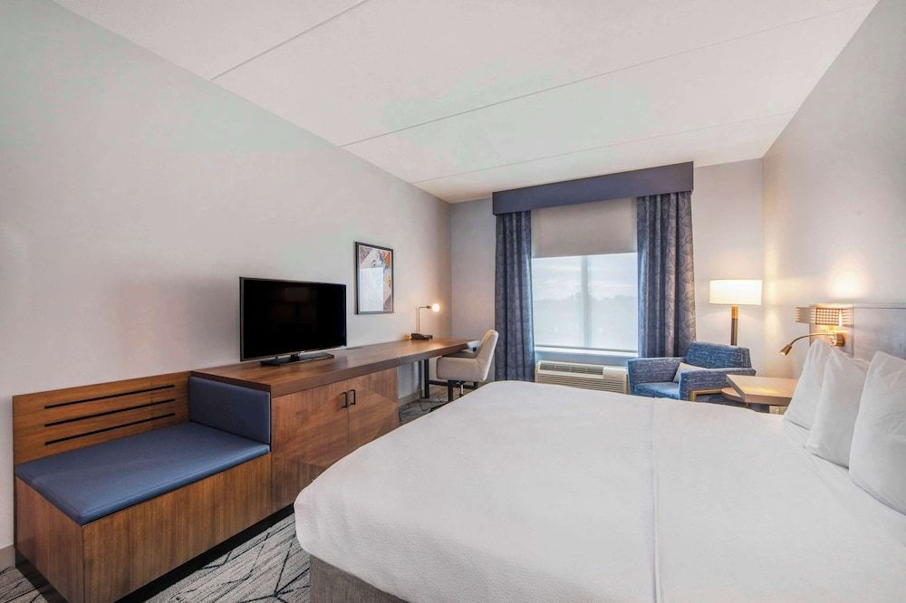 Room, 1 King Bed