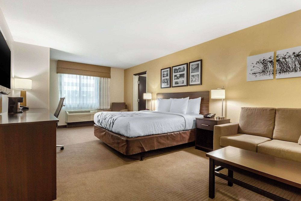 Suite, 1 King Bed with Sofa bed, Accessible, Non Smoking