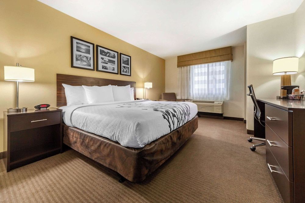 Room, 1 King Bed, Accessible, Non Smoking
