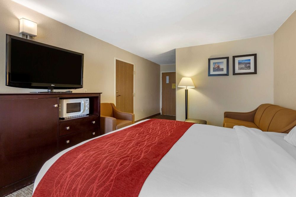 Suite, 1 King Bed with Sofa bed, Accessible, Non Smoking