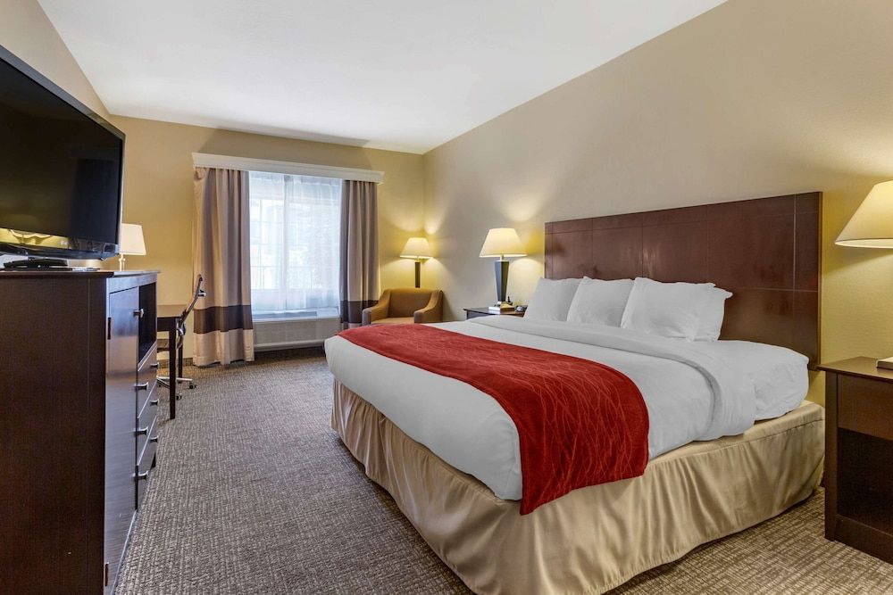 Suite, 1 King Bed with Sofa bed, Accessible, Non Smoking