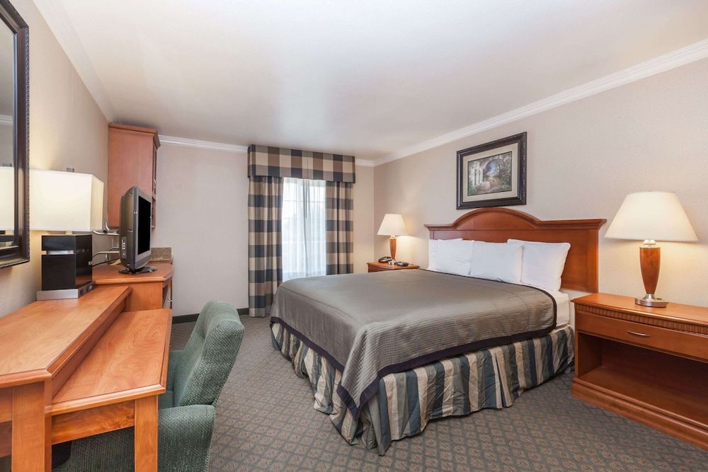 Room, 1 King Bed, Accessible, Non Smoking (Mobility/Hearing/Roll-In Shower)