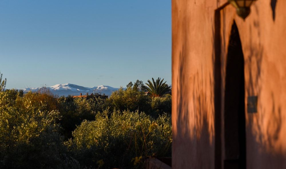 undefined Les Jardins de Zyriab 9