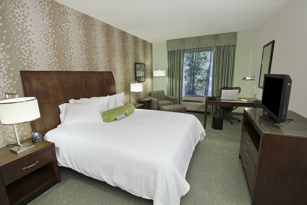 Room, 1 King Bed