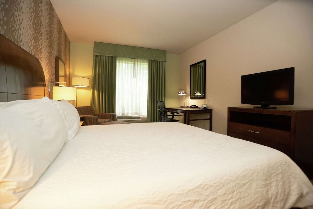 Room, 1 King Bed, Accessible (Hearing)