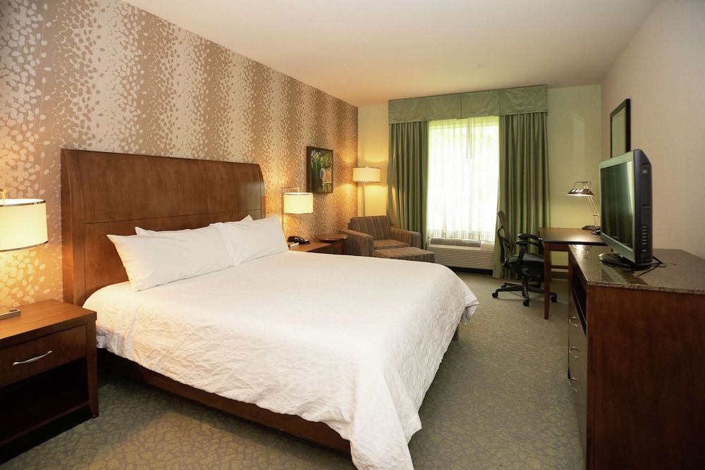 Junior Studio Suite, 1 King Bed with Sofa bed