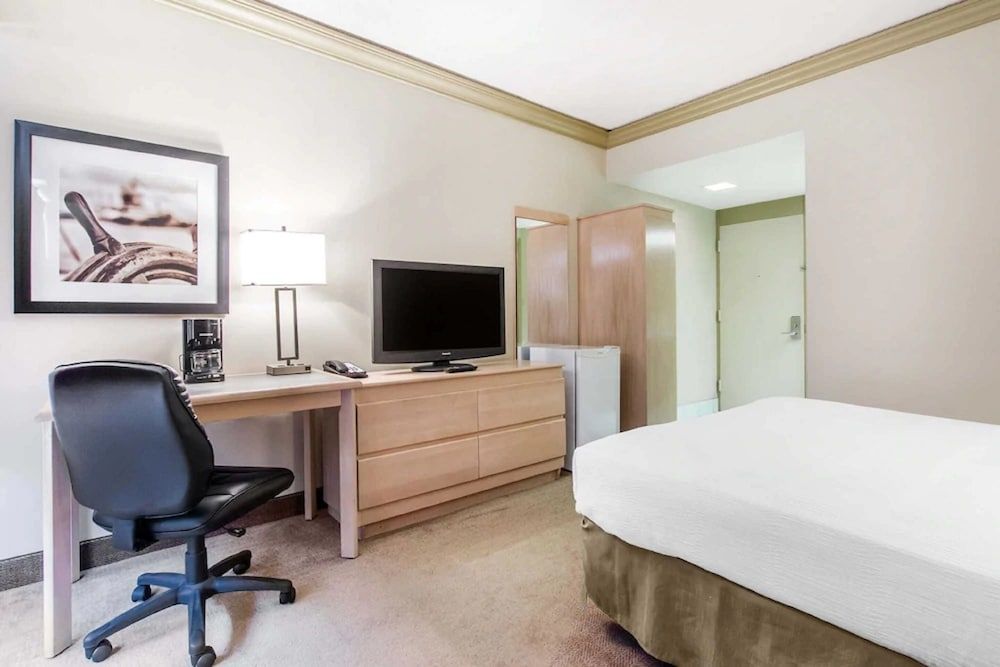 Room, 1 King Bed, Non Smoking