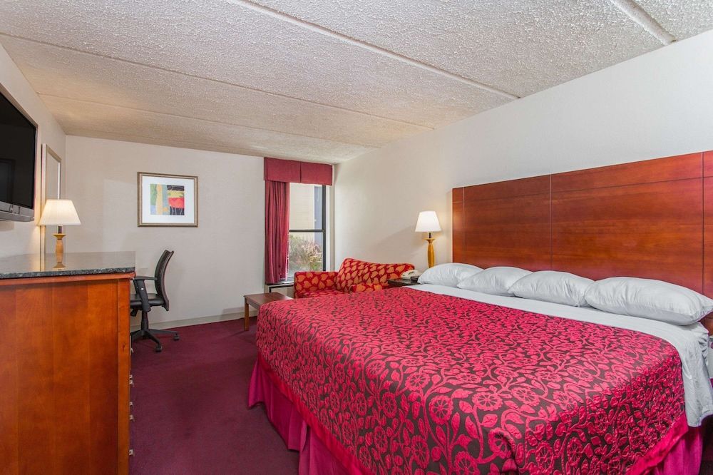 Room, 1 Queen Bed