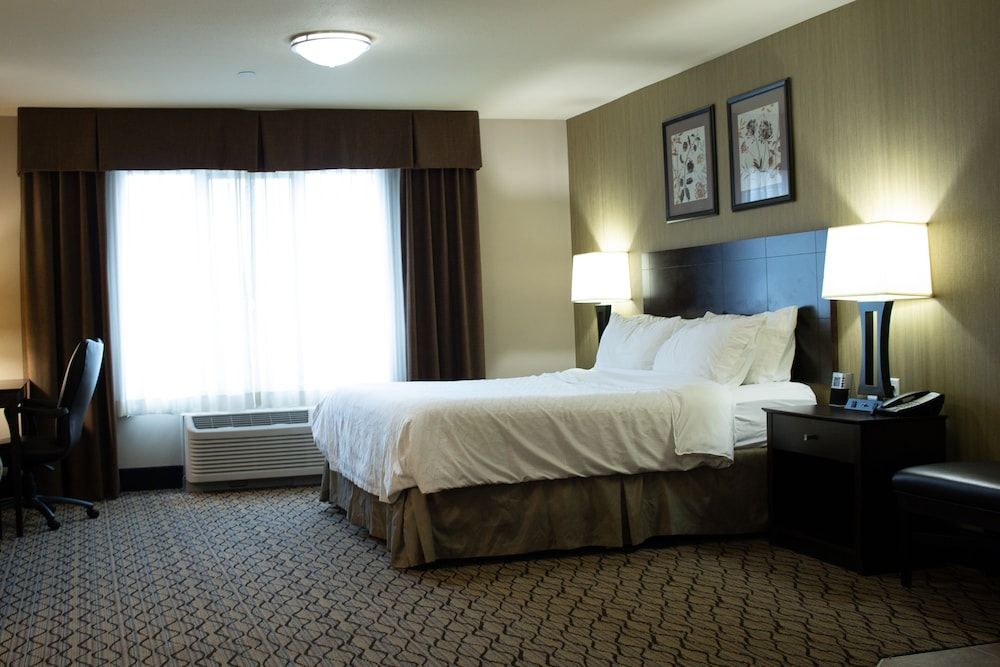 Standard Room, 1 King Bed, Accessible (Hearing Accessible)