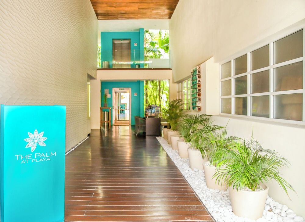 undefined The Palm at Playa 6