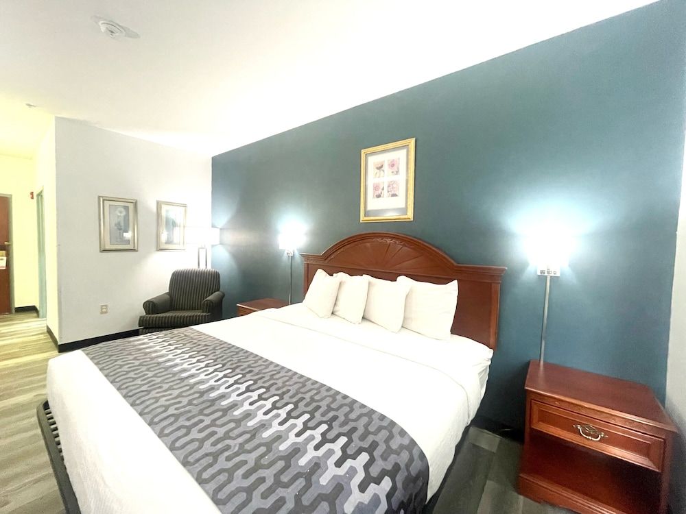 Grand Vista Hotel and Suites Standard Room, 1 King Bed 2