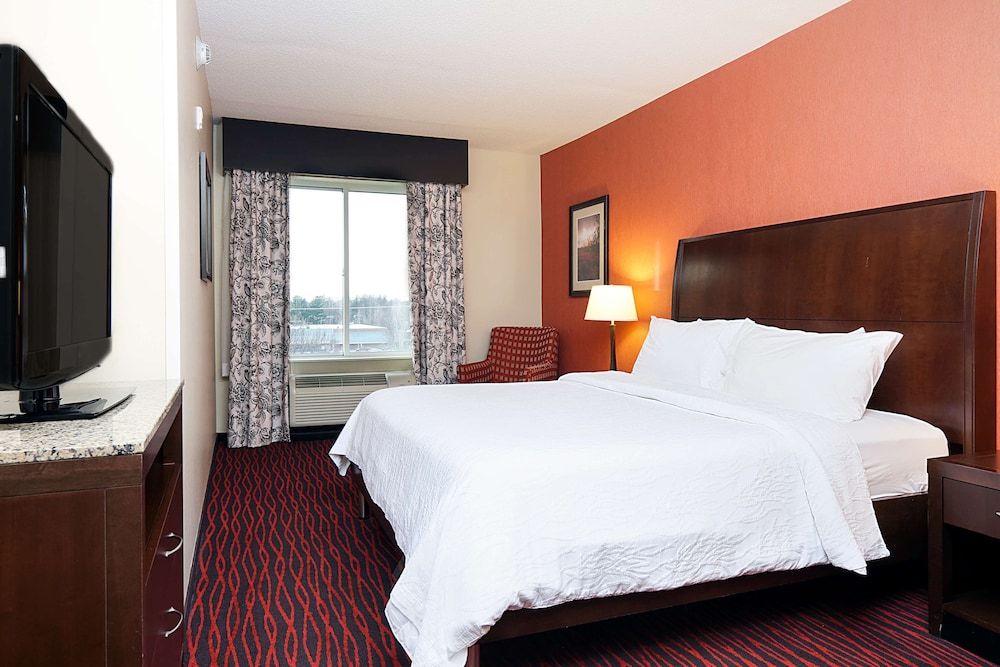 Evolution, Suite, 1 Bedroom