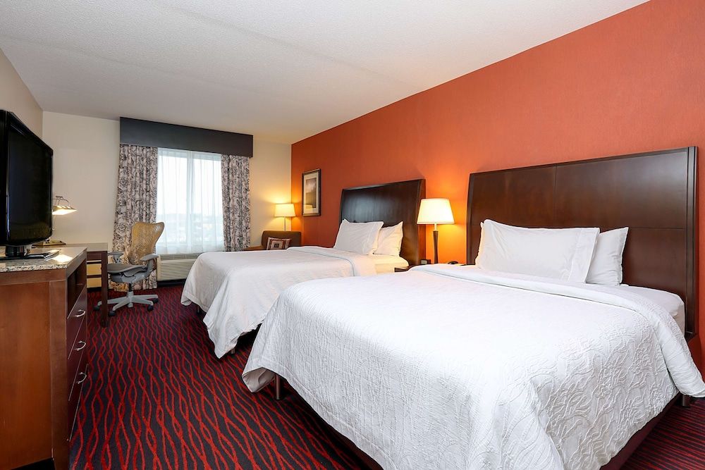 Evolution, Room, 2 Queen Beds