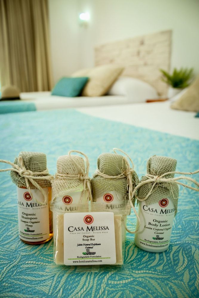 Casa Melissa - Near Yucatek Divers Standard Room, 1 Bedroom, Ocean View, Oceanfront 10