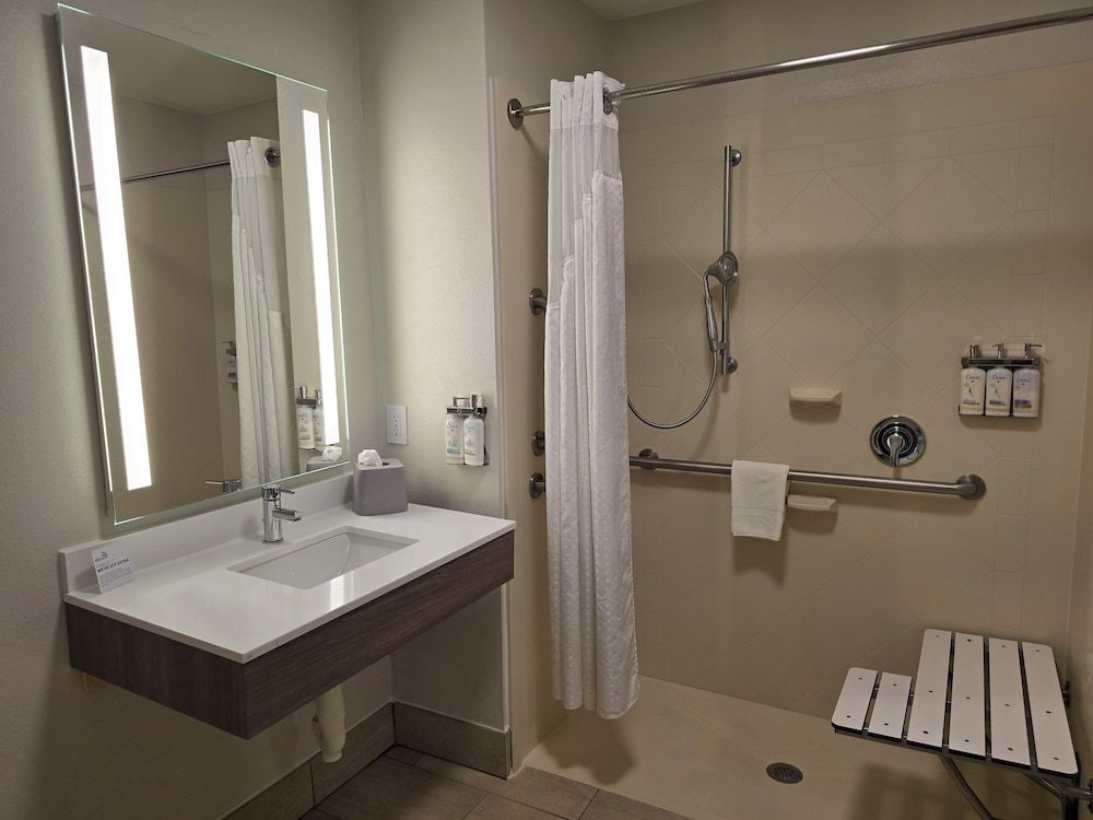Standard Room, 1 King Bed, Accessible (Roll-In Shower)