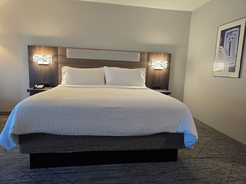 Suite, 1 King Bed with Sofa bed