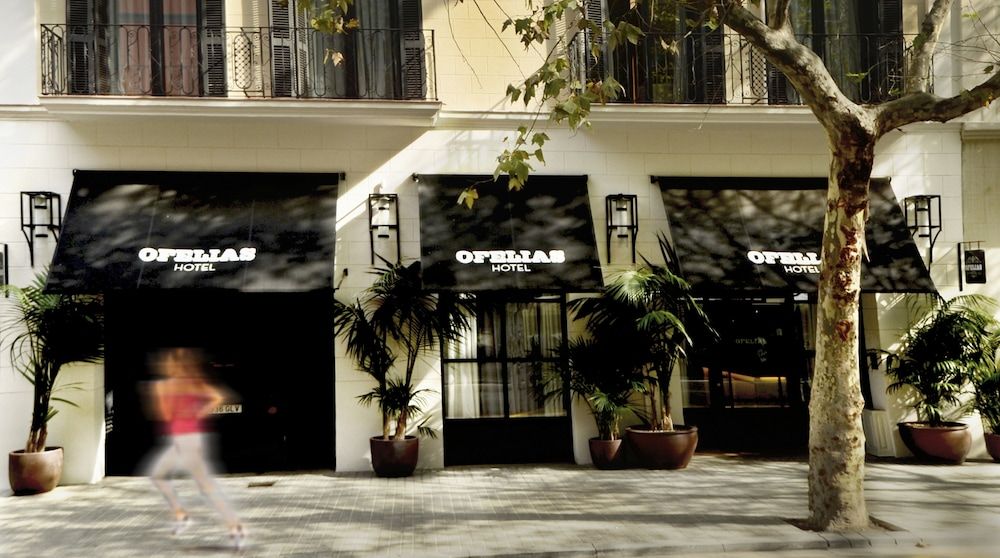 undefined Ofelias Hotel 7