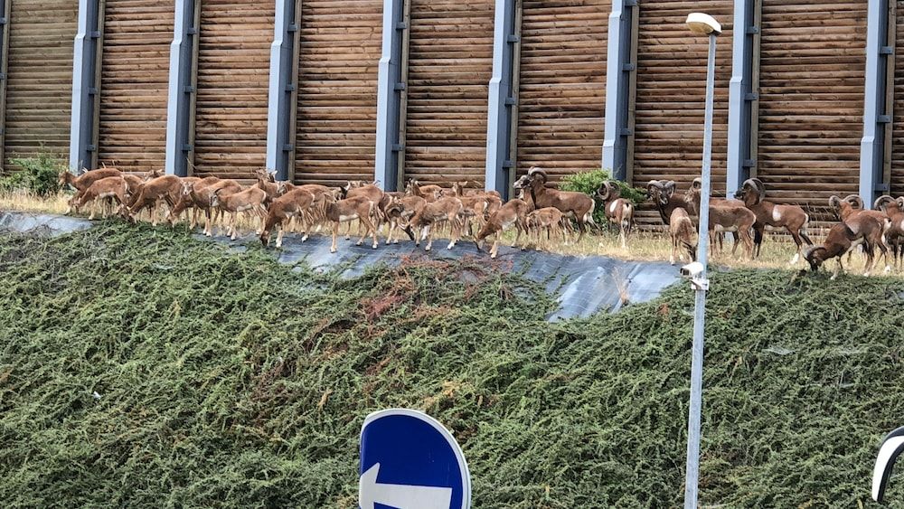 undefined Rezidence Emmy 7