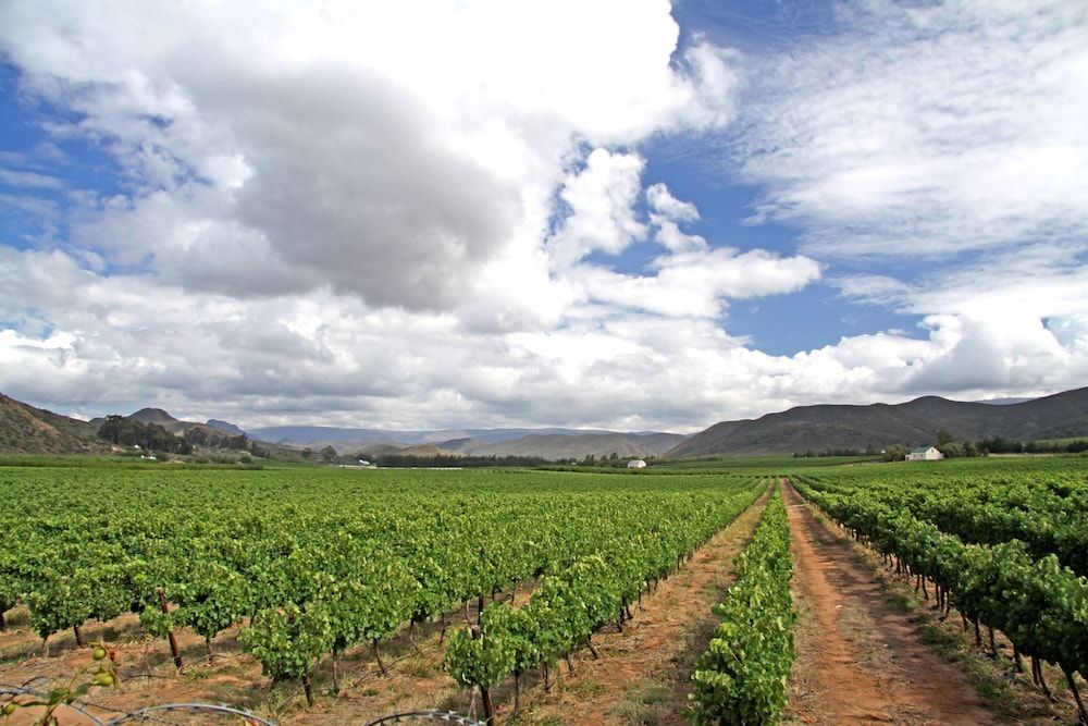 Montagu Springs Resort Golden Terraces 3