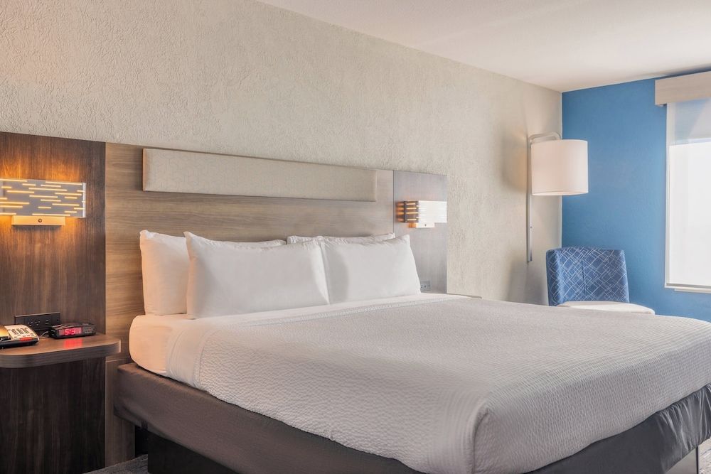 Suite, 1 King Bed with Sofa bed (& Sofa Bed)