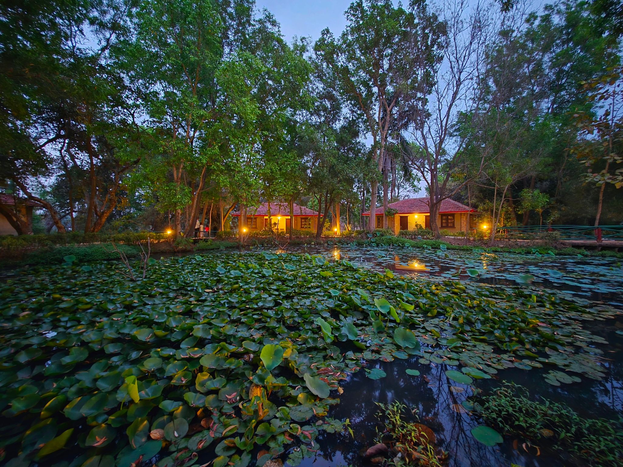 Tiger Trails Resort