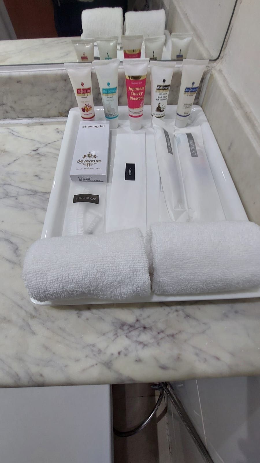 Deventure Hotel New Delhi Shalimar Bagh Premium Room 3