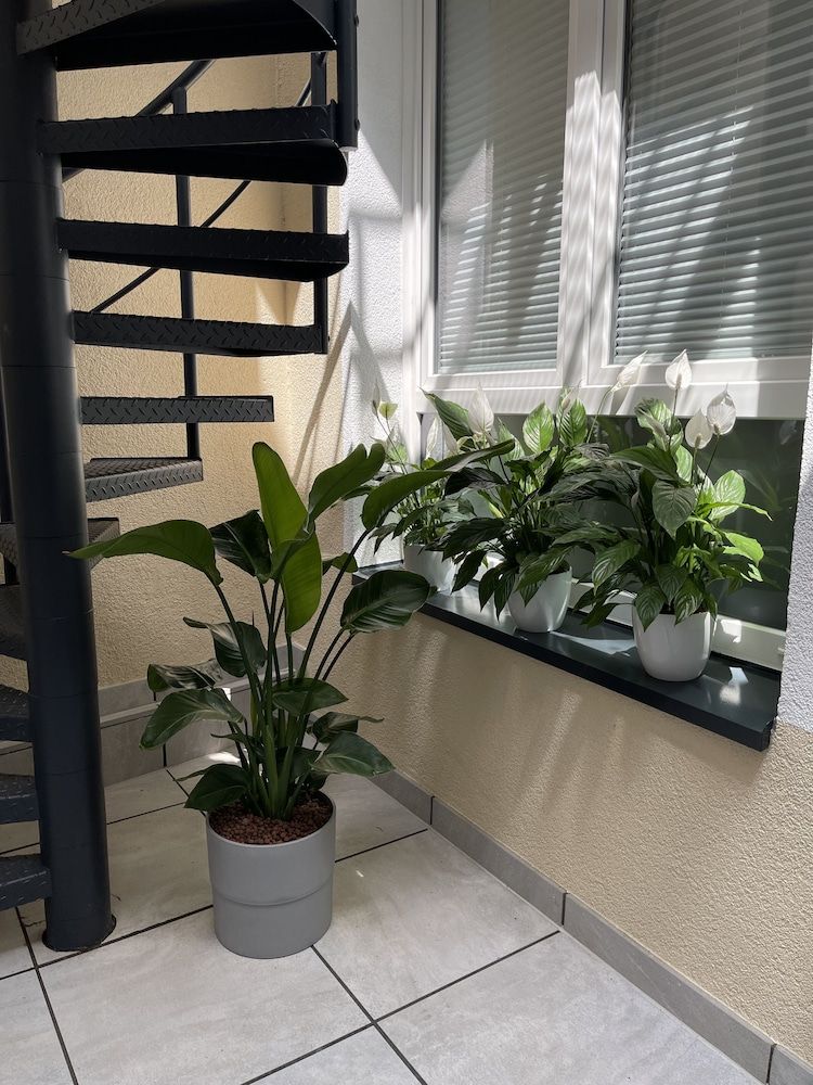 undefined Hotel Palm Premium 9