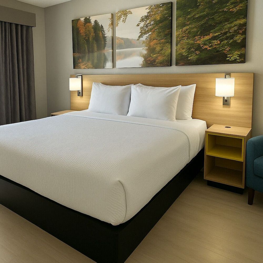 Days Inn by Wyndham Fergus Falls Room, 1 King Bed, Mobility Accessible, Non Smoking (Bathtub w/ Grab Bars) 3