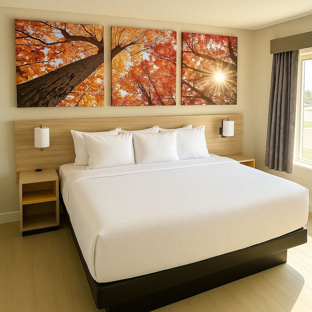 Days Inn by Wyndham Fergus Falls Room, 1 King Bed, Mobility Accessible, Non Smoking (Bathtub w/ Grab Bars)