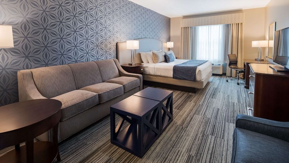 Standard Room, 1 King Bed, Non Smoking (Larger Room;with Sofabed)