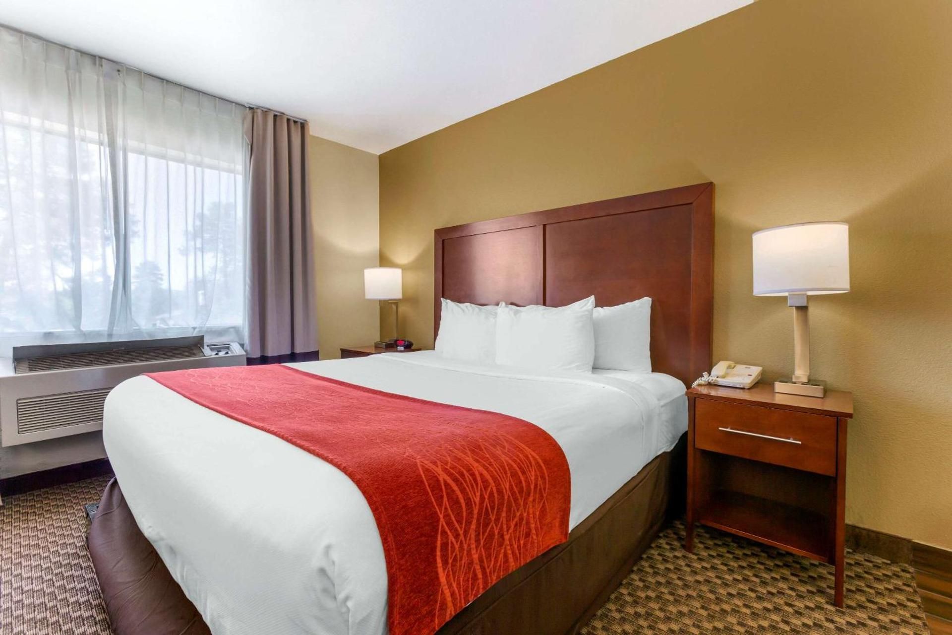 1 King Bed, Nonsmoking