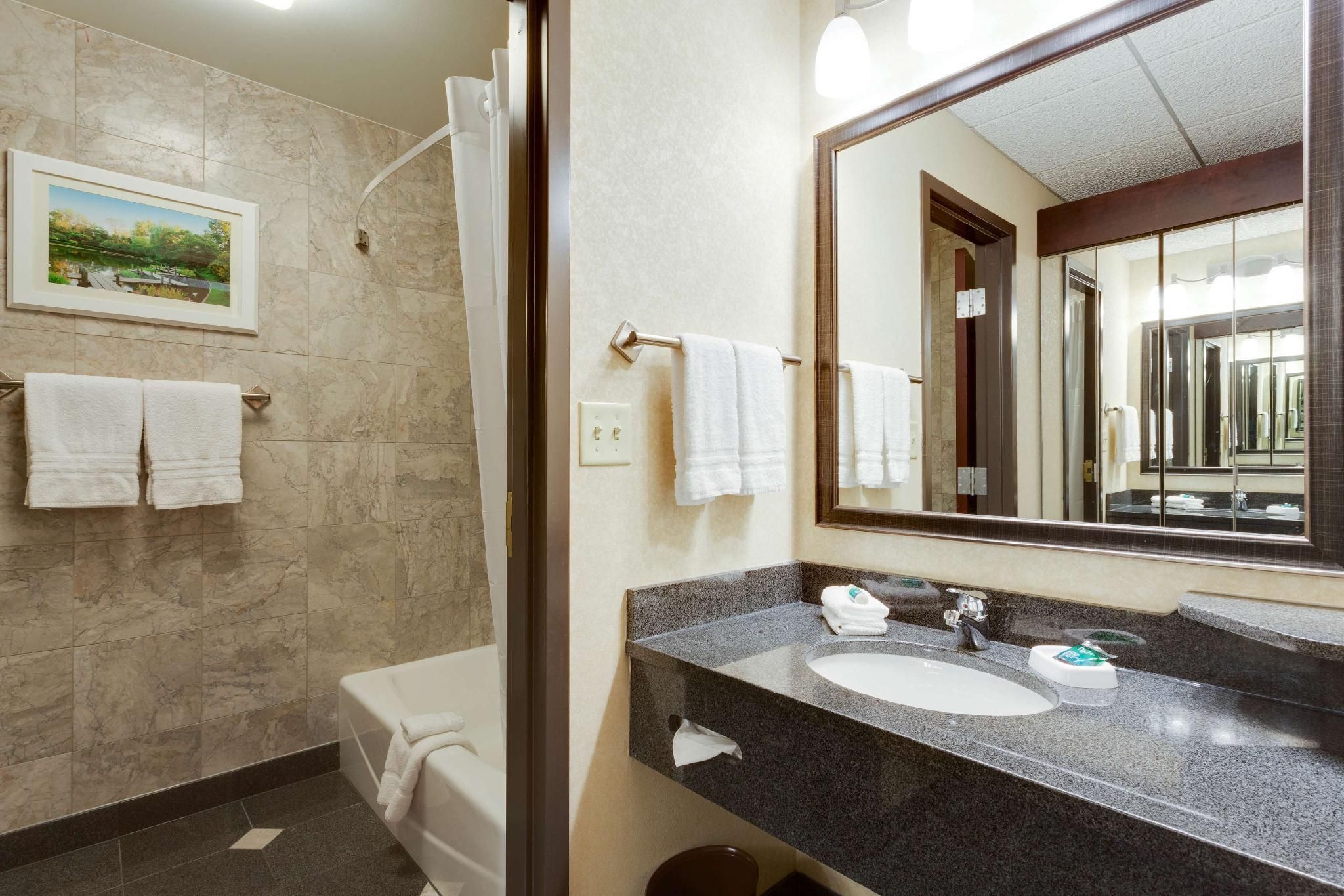 1 King Bed Suite, 2 Rooms with Sofa Sleeper, Interior